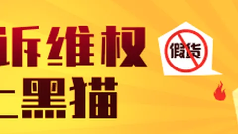 上汽奥迪谢施奇访谈：7新上市，四环标识关注度有何变化